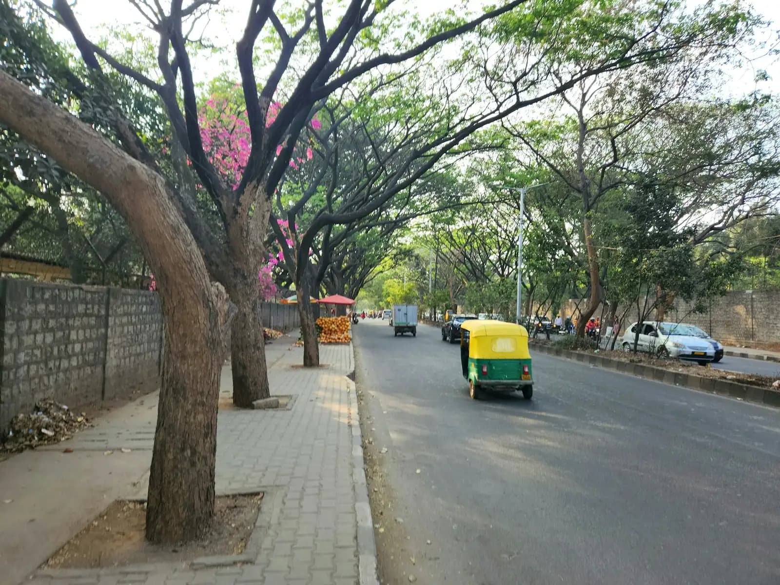 A tree-lined Bengaluru road with a wide footpath and a yellow and green auto-rickshaw
